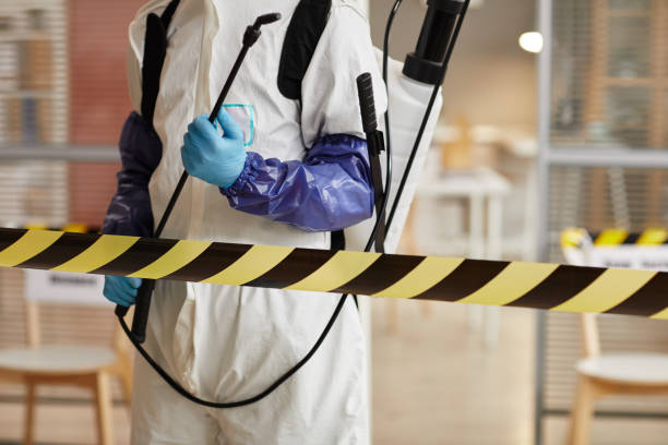 Professional Sewage Cleanup technician working in Lakeview, GA